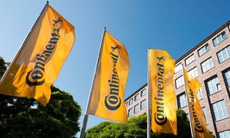 獵云早報(bào) 蘋果強(qiáng)制抽成30%引羅永浩怒斥，歐洲汽車配件合作拓展技術(shù)開發(fā)