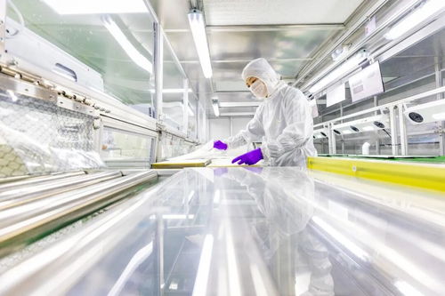 這座中國(guó)小城，如何用技術(shù)連接全球30萬(wàn)海外合伙人